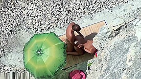 Fuch in beach