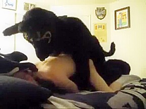 Fursuit sex 73