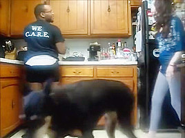 Girlfriend Kitchen Ballbusting