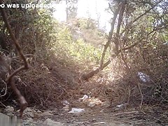 Girls Pissing video 181