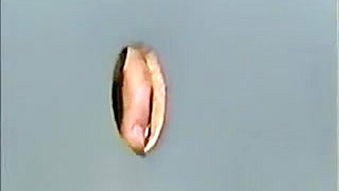 Glory Hole Jerking