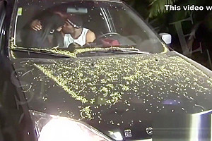 Guy picks up ebony shemale