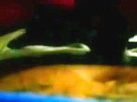 HEAD 11