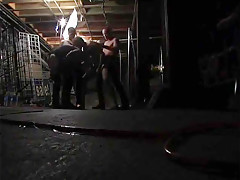 Hairy And Nasty Gay Sex Orgy At The Club, The Bears