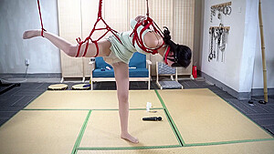 Han Han Bondage Vibe