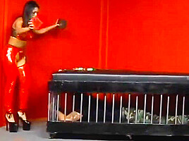 Hard Asian Psycho Mistress Punishes Poor Slave In Her Red Dungeon