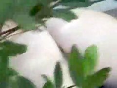 Hidden web camera masturbation in garden