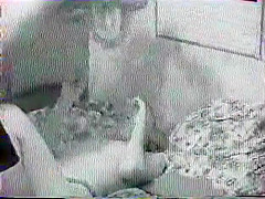 HomeVideo VHSrip-2
