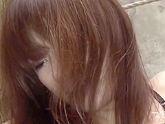 Horny Sex Movie Creampie Try To Watch For Just For You
