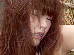 Horny Sex Movie Creampie Try To Watch For Just For You