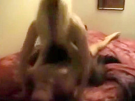 Hot amateur wife threesome cuckold fuck