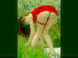 Hot compilation of photos with sexy bitches