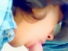 I love sucking cock