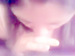 INGOIA TUTTO