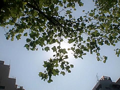 Incredible Japanese girl in Exotic Hardcore, Amateur JAV movie