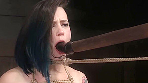 Inked babe punished in hogtie bondage