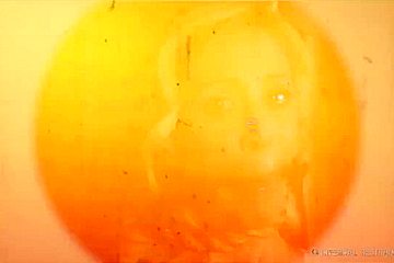 Ir Extremes - 1