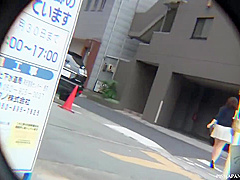 Japanese Public Pee