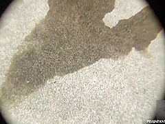 Japanese Public Pee