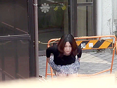 Japanese Public Pee