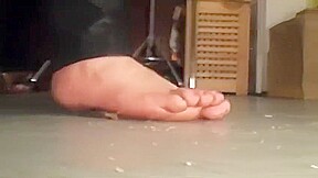 Kitchen session crickets squishing
