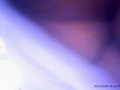 Kolecitas