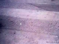 Kolecitas