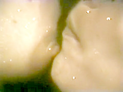 Lesbian Peepshow Loops 587 70's and 80's - Scene 1