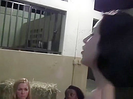 Lesbian trio nibbles gushing college pussy outdoors