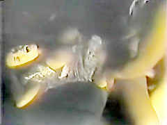 Lisa Anni Vintage porn