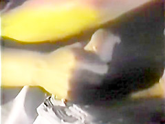 Lisa Anni Vintage porn