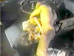 Lisa Anni Vintage porn