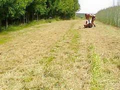 Mein hasslicher Dreckskoter