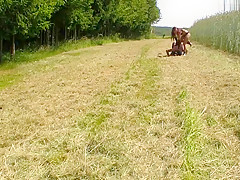 Mein hasslicher Dreckskoter