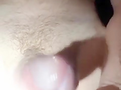 Milk me like a Bull