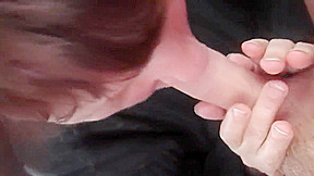 Minetcica 24 02 2019 g 