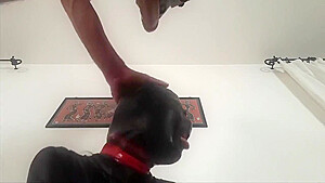 40 Minutes Compilation Of Blowjob Deepthroat Creampie Down View