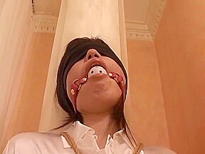Multiple Gags & Vibrators