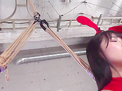 Mvg-062 Bondage Guy Bunny Girl - Waka Misono