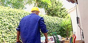 Need a plumber