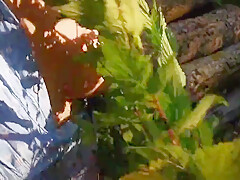 Nettle Punishment Day - Ass Tits And Vagina In Public - Dc