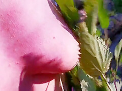 Nettle Punishment Day - Ass Tits And Vagina In Public - Dc