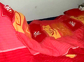 Nightly Wake-up Service Led To Sex