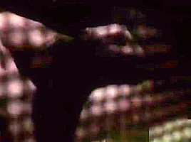 Nude Celebs - Best Nudes in Horror Movies vol 1