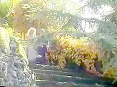 Outdoor DP & Friendly Fire Cumshot ((FYFF))