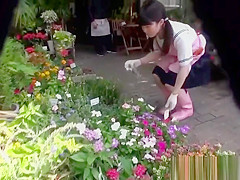 Petite japanese florist pussyfucked in store