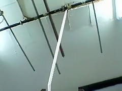 Pf Sc