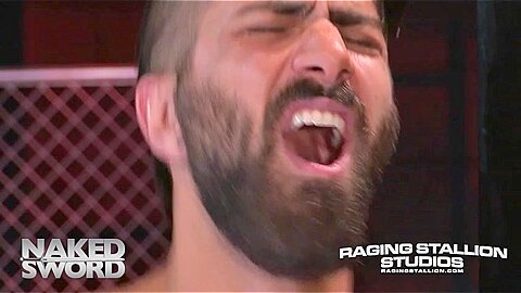 Primal - Raging Stallion