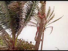 Prisoner Of Paradise - Classic Film