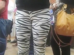 Public cameltoe in skintight zebra pants
